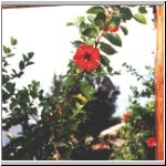 Alanya_25.jpg